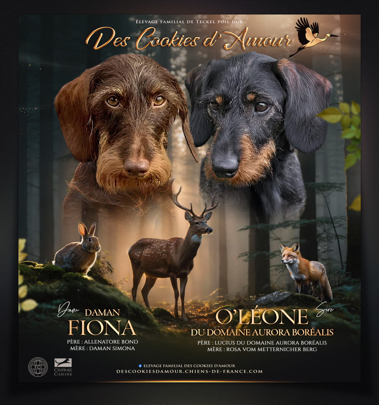 Nous attendons des bébés pour début février.